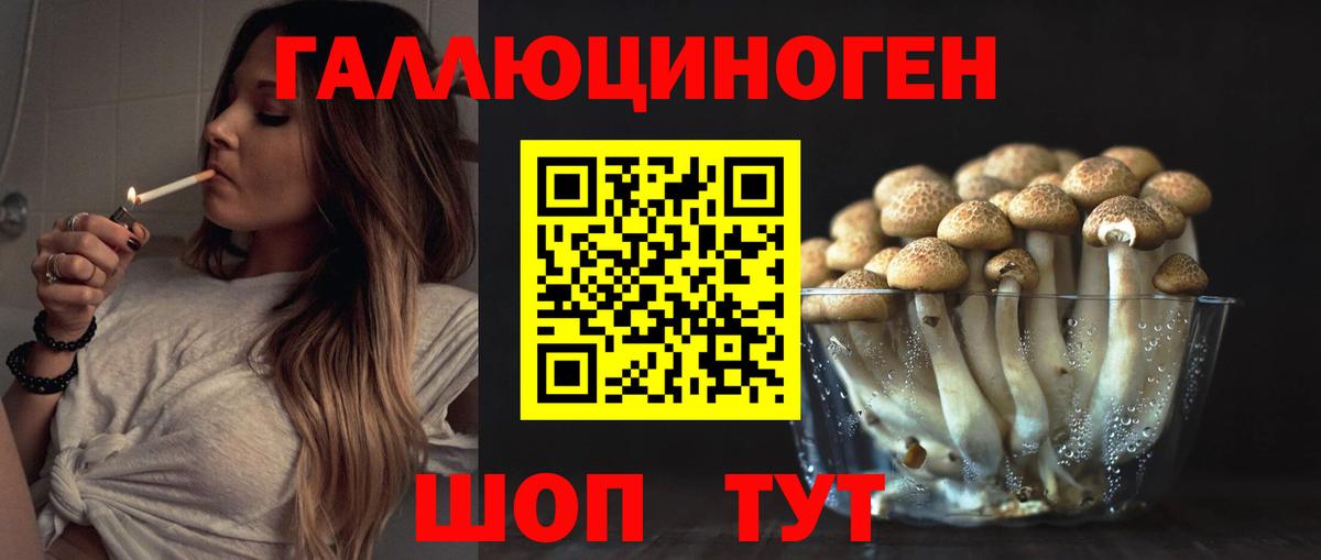 Галлюциногенные грибы мицелий  Вход с VPN  Магадан 